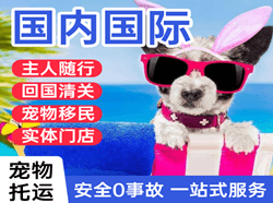 西昌航空物流国际宠物托运 【国